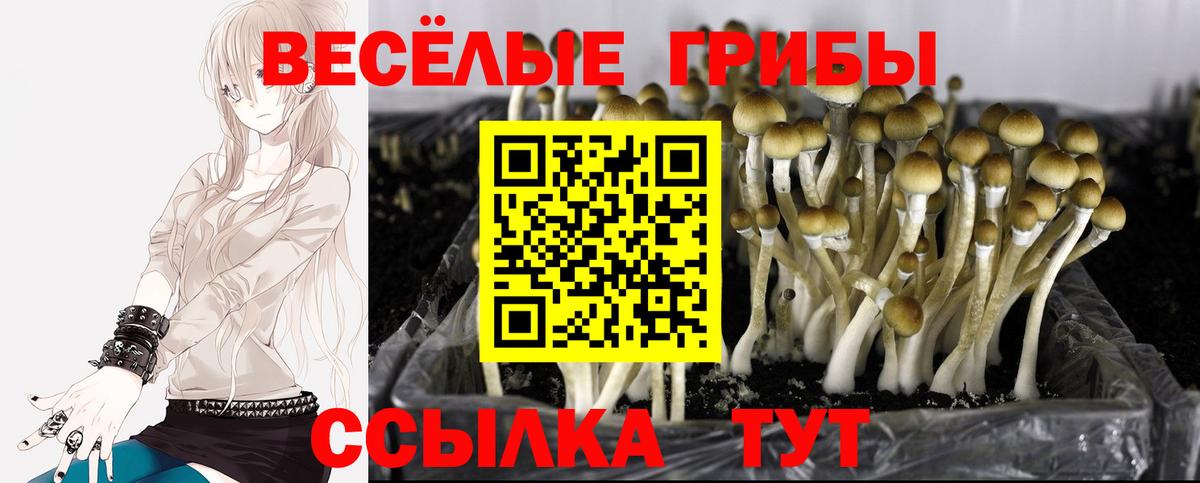 Тольятти  Галлюциногенные грибы мухоморы  Вход с VPN 